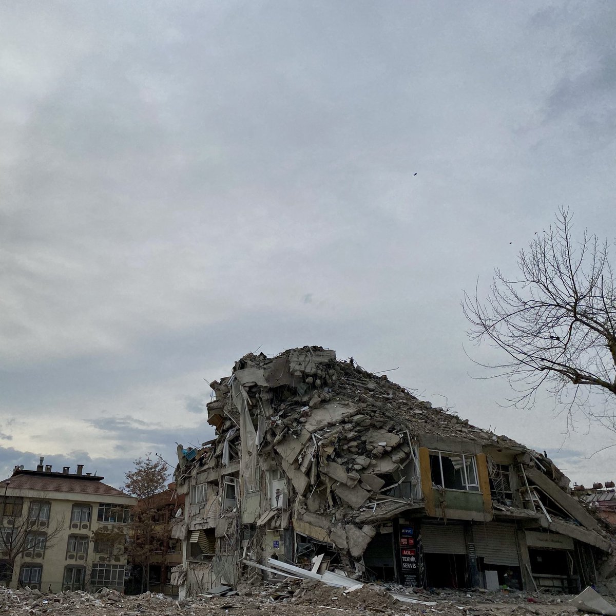 Elif Naz Baykuş tweet media