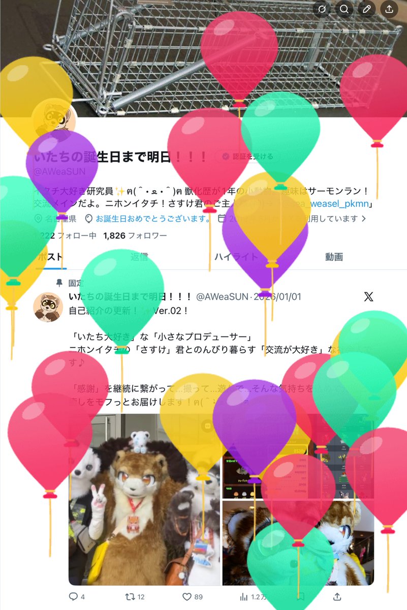 いたちの誕生日は今日!!!!! tweet media
