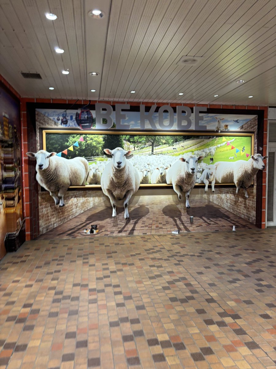 せな🎖 tweet media