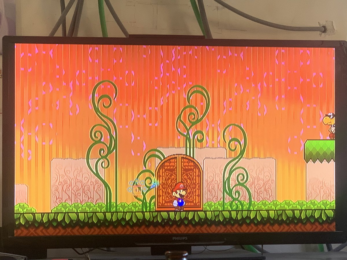 BleinOcto tweet media