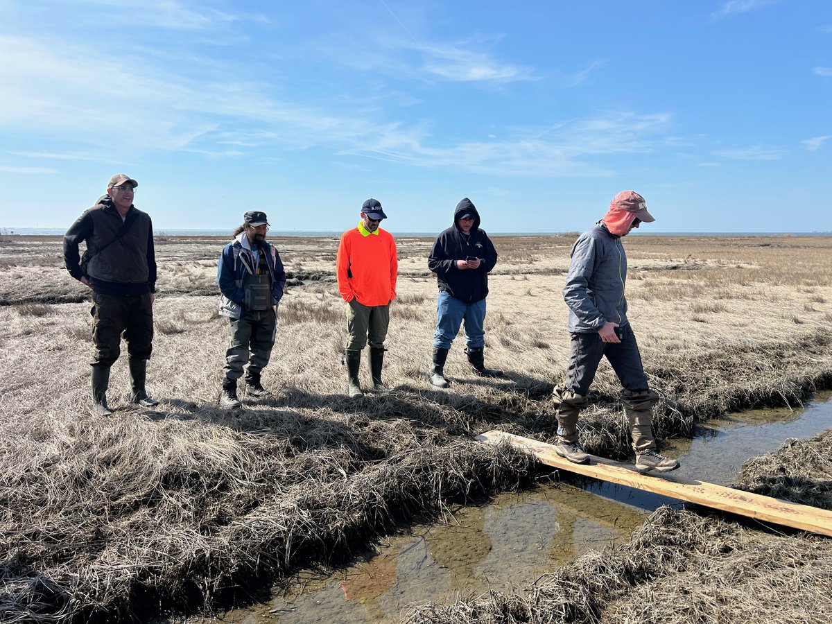 ACT Engineers tweet media