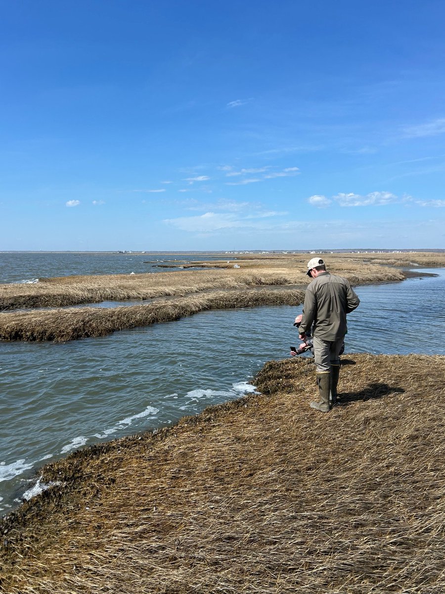 ACT Engineers tweet media