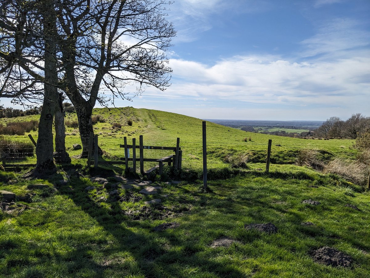 GoodReactions's tweet photo. A lazy walk up to the Yellow Hills in #blackburn https://t.co/qxMvacJUJO