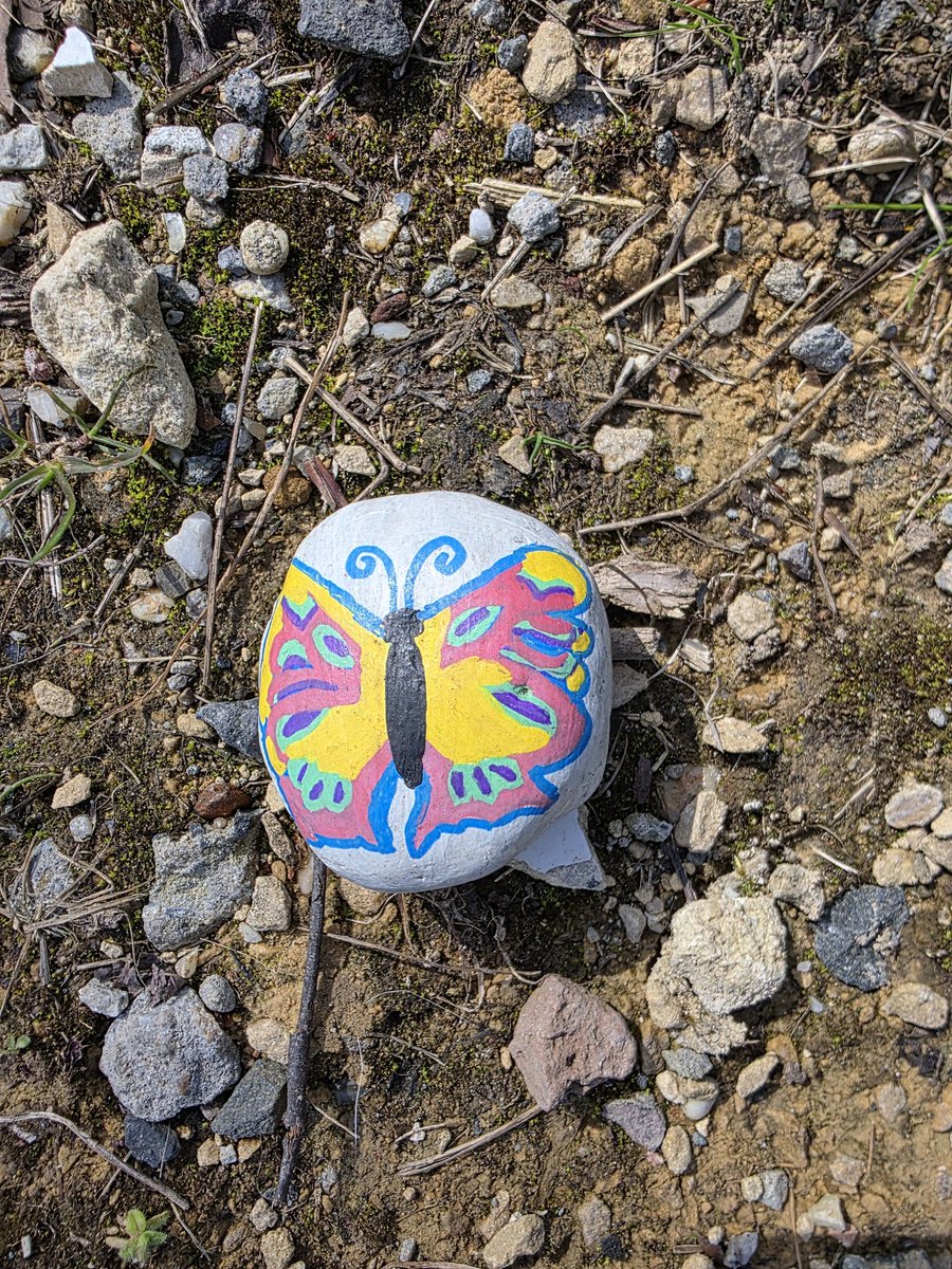 Abraham Wijnand tweet media