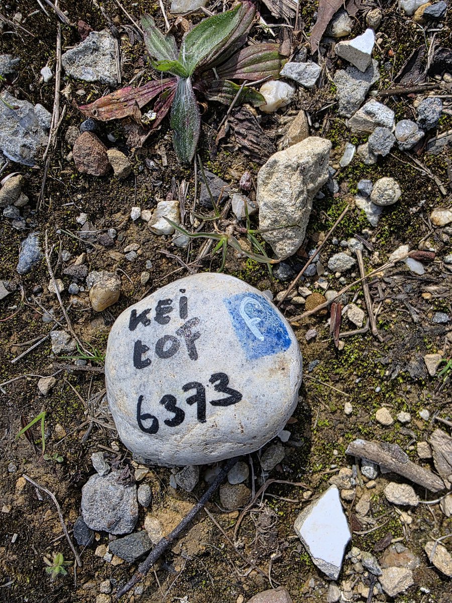 Abraham Wijnand tweet media