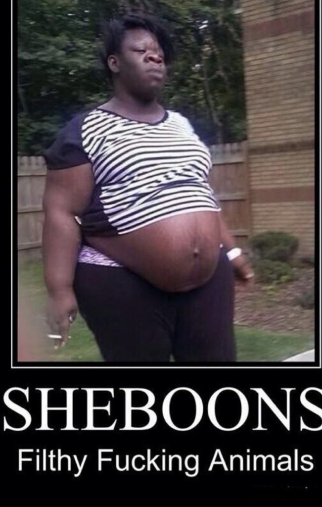 Derek Goodman tweet media