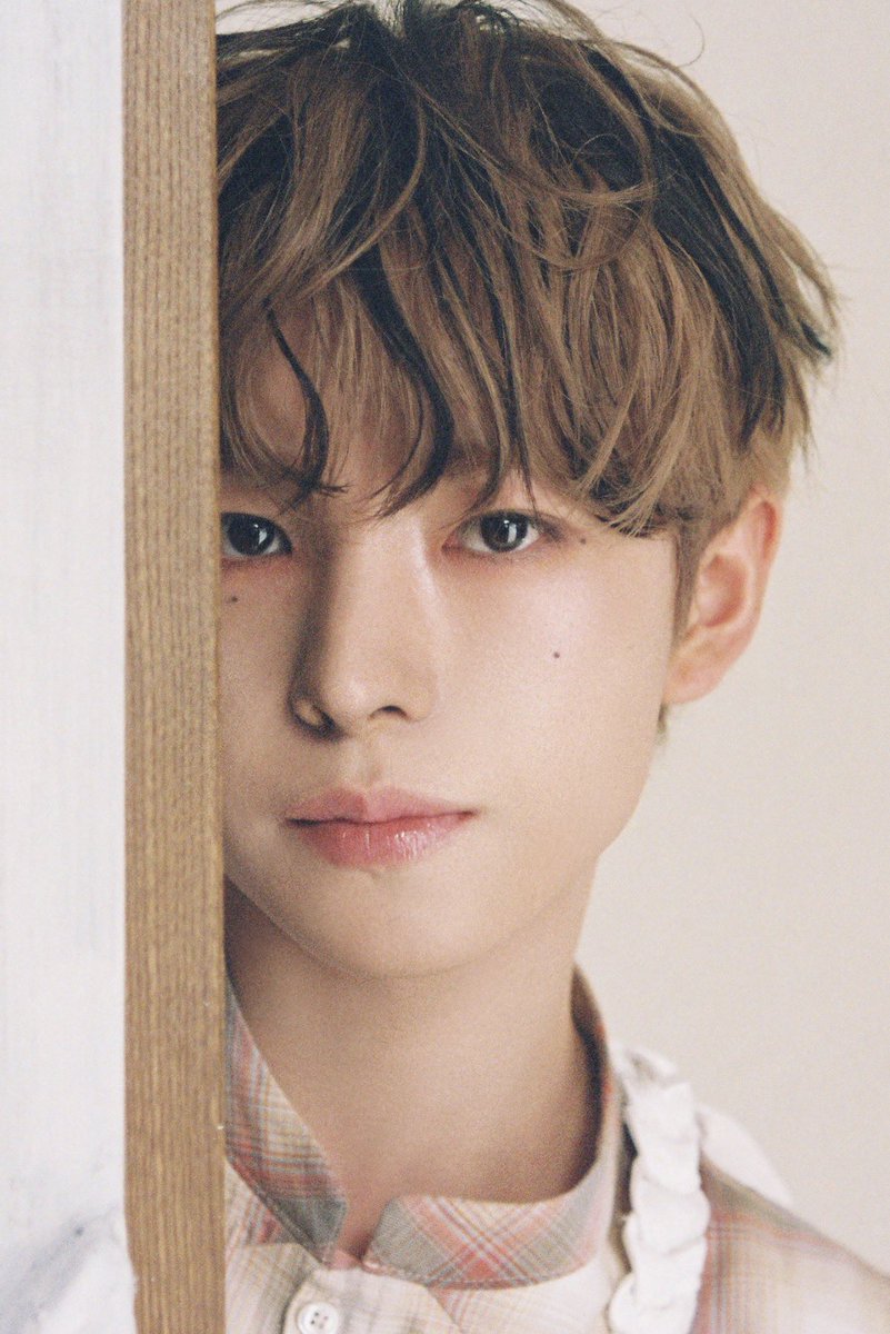 티라미스 tweet media