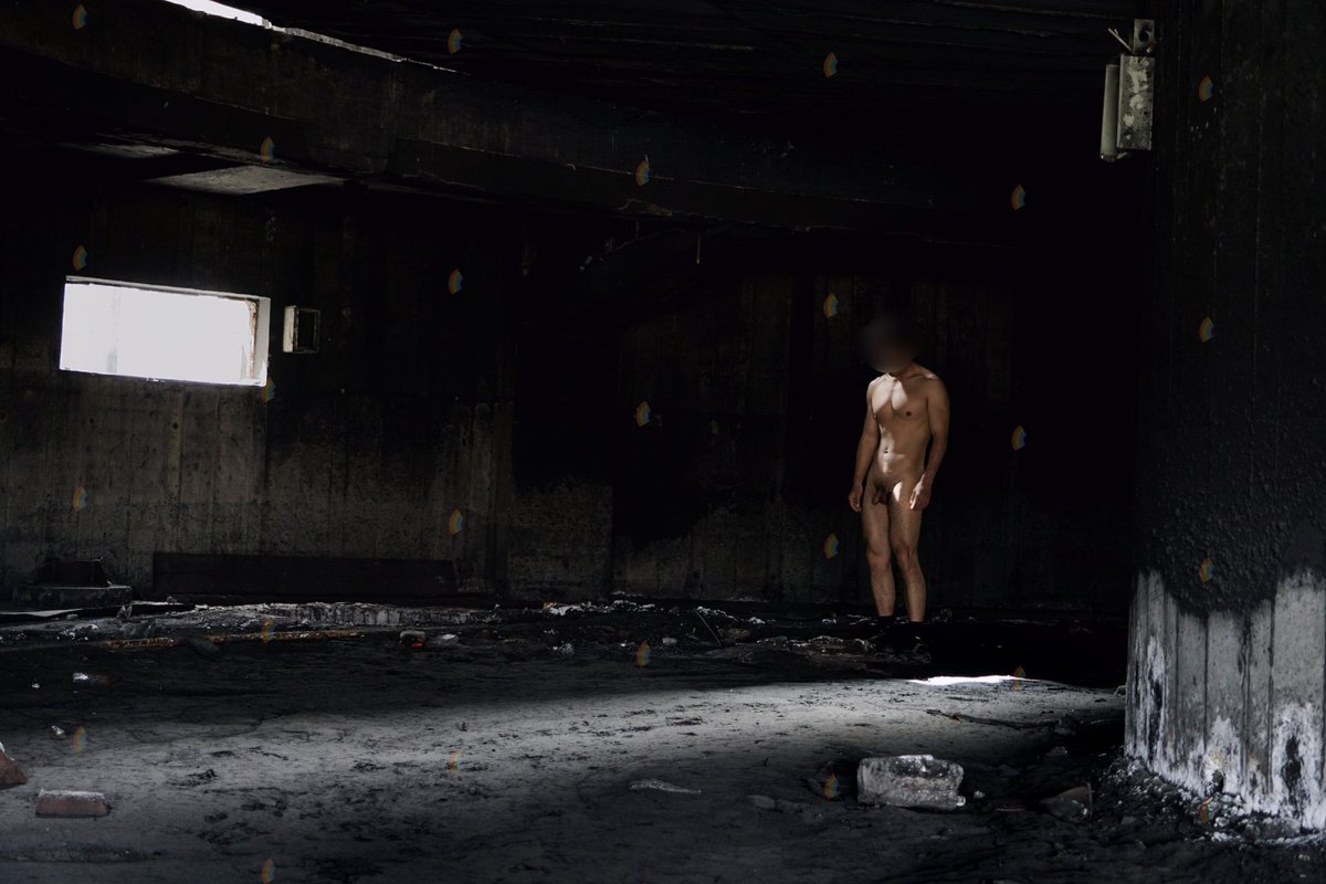 量子企鹅🌈 tweet media