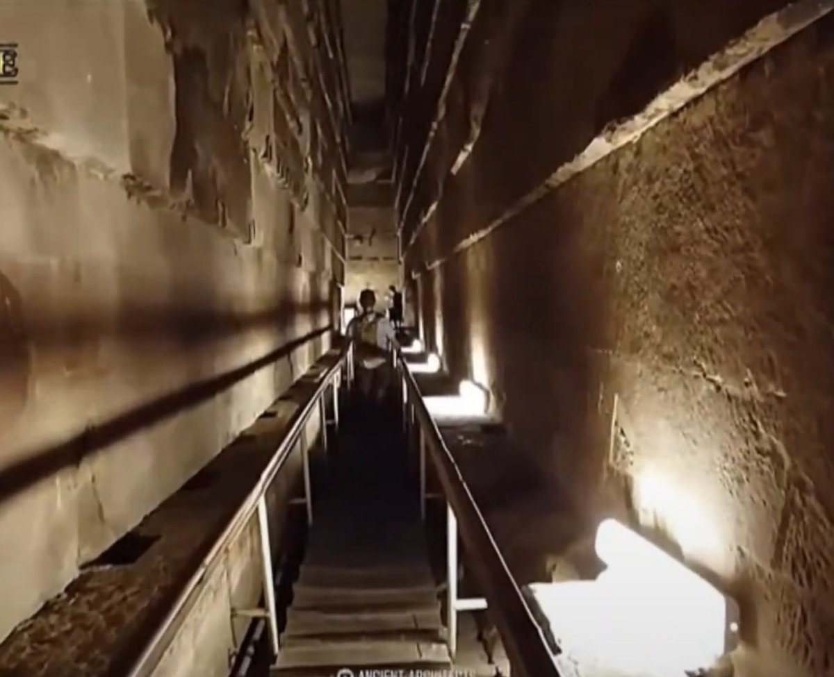 🕳️🐇 tweet media