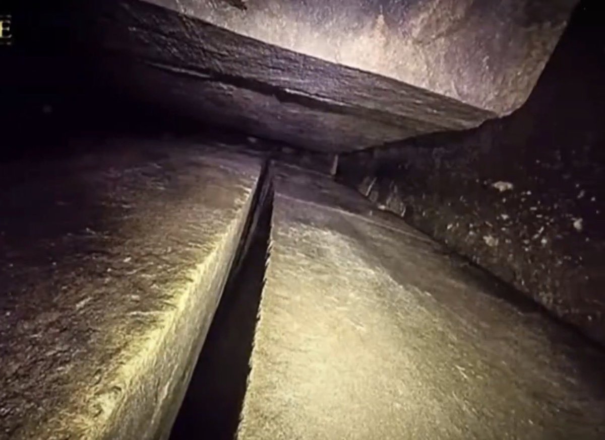 🕳️🐇 tweet media