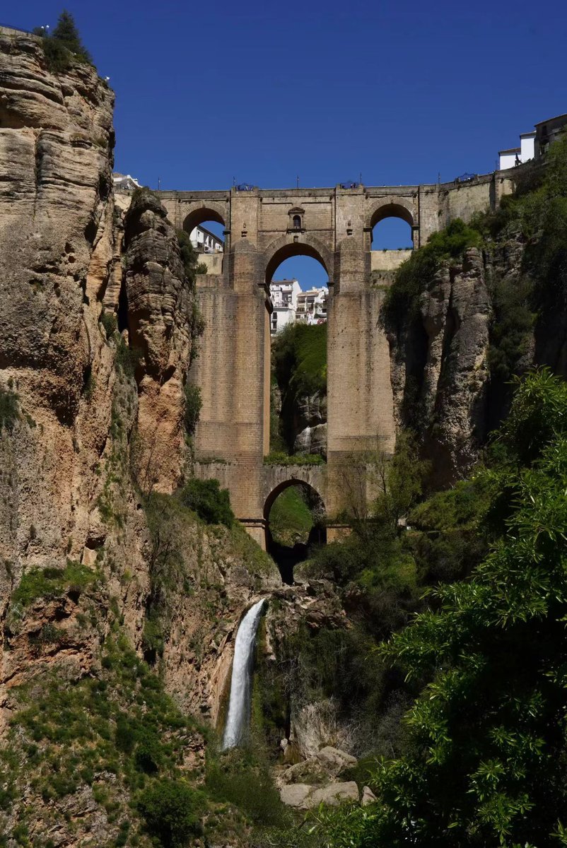 Jocaccia tweet media