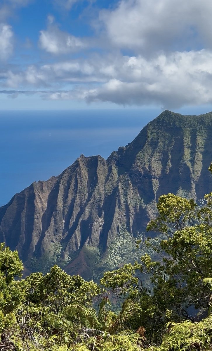 23 Days Until Hawaii 🌺🏝️🐬
Na Pali Coast - Kauai