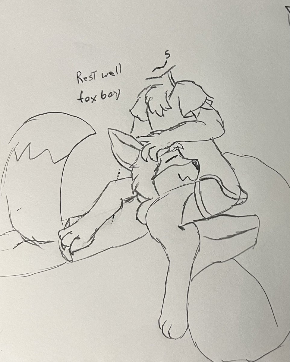 ObviousAudience tweet media