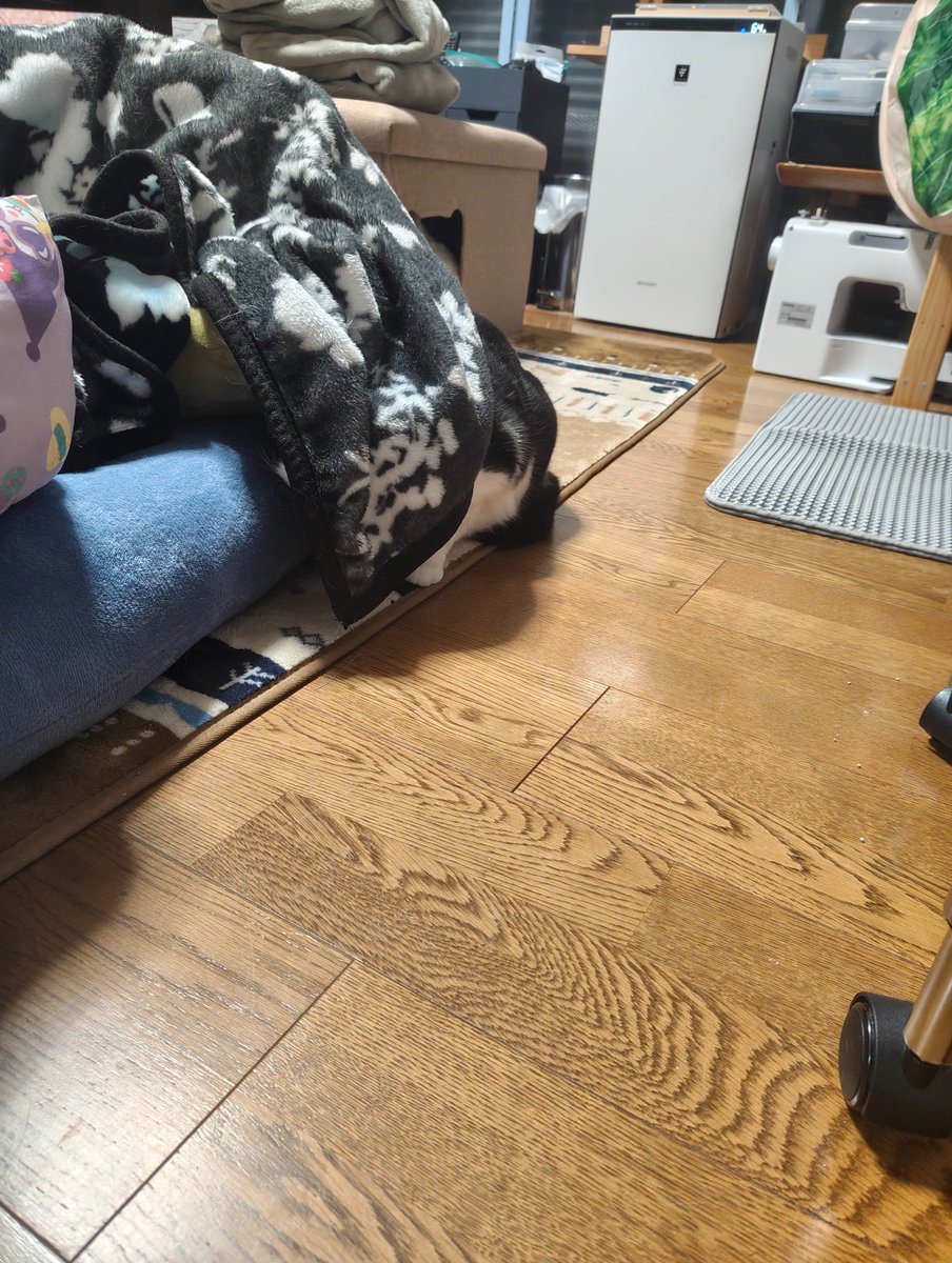 Irukatoto's tweet photo. 擬態やちごんꉂ🤣𐤔 https://t.co/WjSp71TF8i