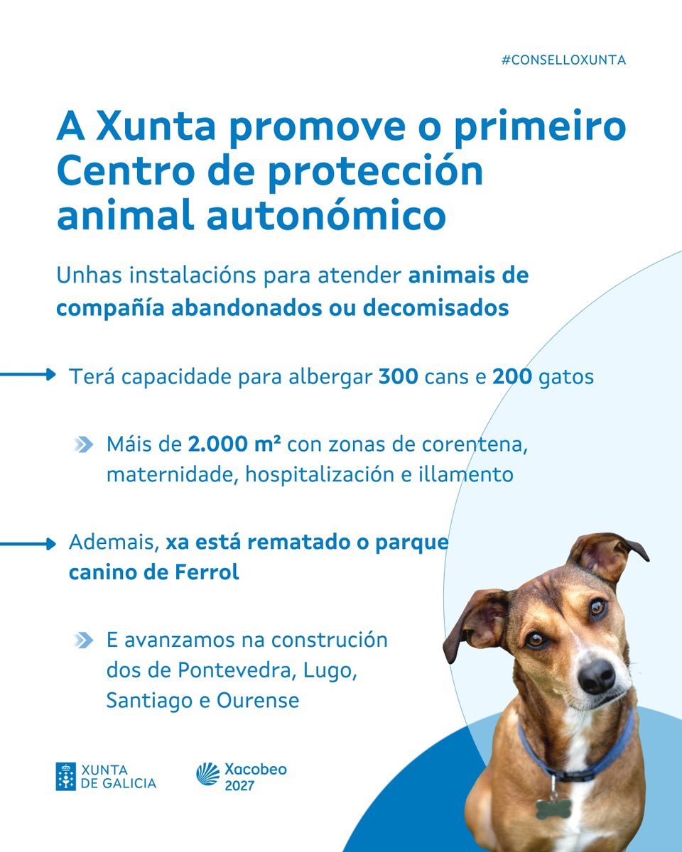 Xunta's tweet photo. 🐾 Galicia avanza na protección e benestar dos animais de compañía

🏗️ Este ano comezará a construción do primeiro Centro de protección animal de titularidade autonómica da Comunidade

#ConselloXunta https://t.co/6DMLUnEjHp