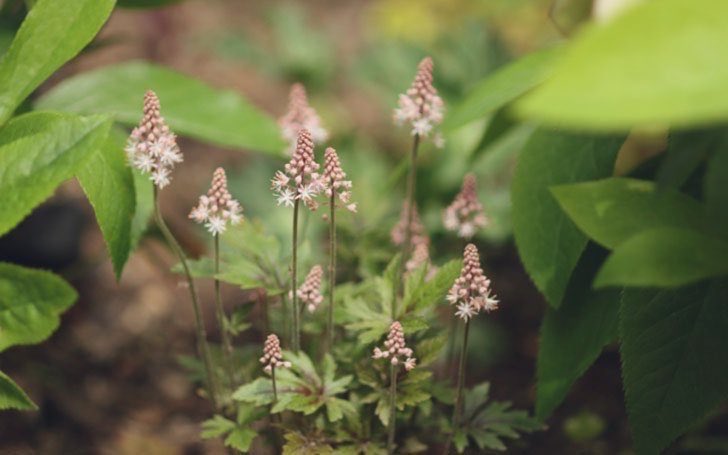 ＜: 3)～ tweet media