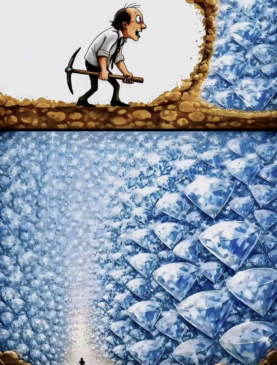 Kαмi🪆 tweet media