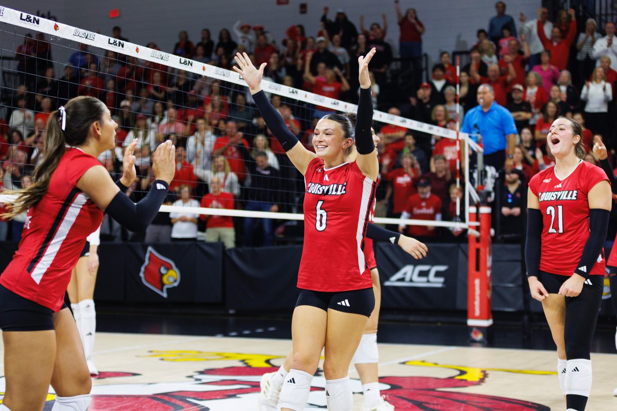 Louisville Volleyball tweet media