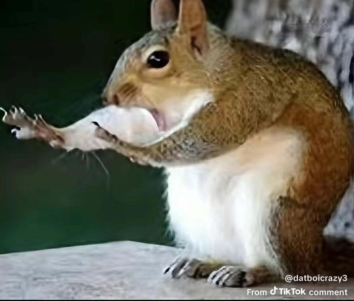 B-FIRE KING tweet media