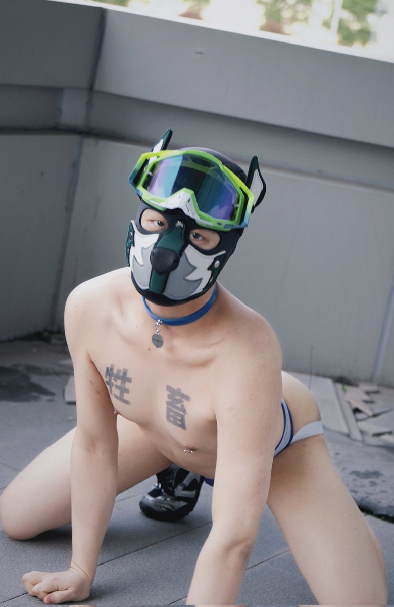 “这套动作我练了2778次。不是为了讨好谁，是为了当你举起手机时，有资格用最标准的姿势告诉你：“你看，你养的小狗，也没给你丢人吧？”
（拍完了没？拍完我继续拆家了）
📷:<a href="/Jiangzhi6866/">峰峰</a>
📷:<a href="/an0ssssss/">哼唧（远安）</a>