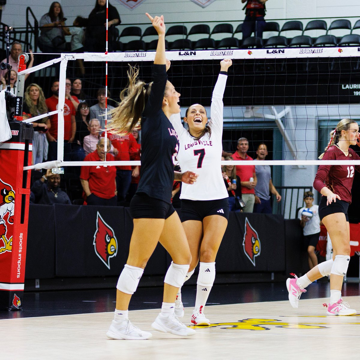 Louisville Volleyball tweet media