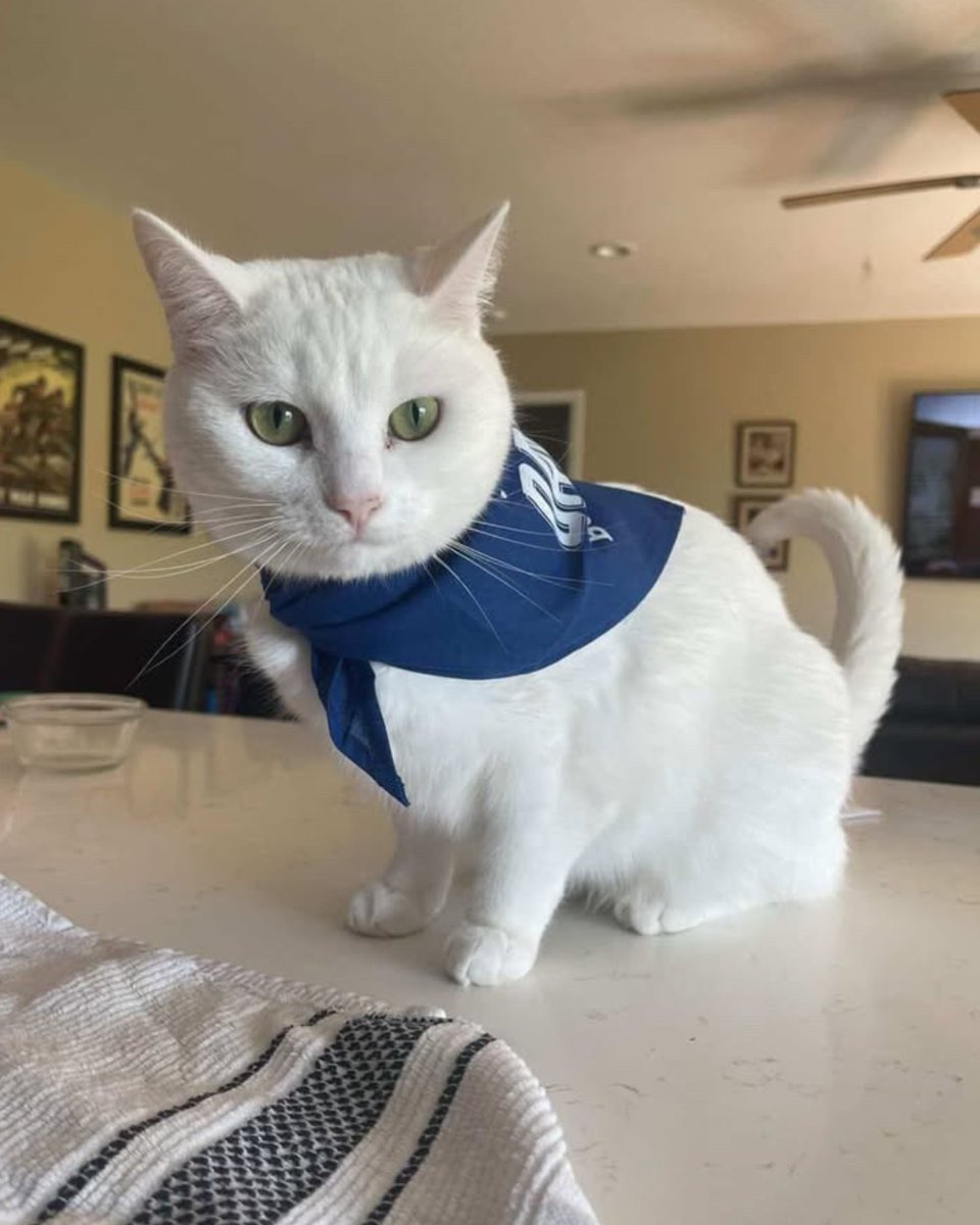 Butler University tweet media