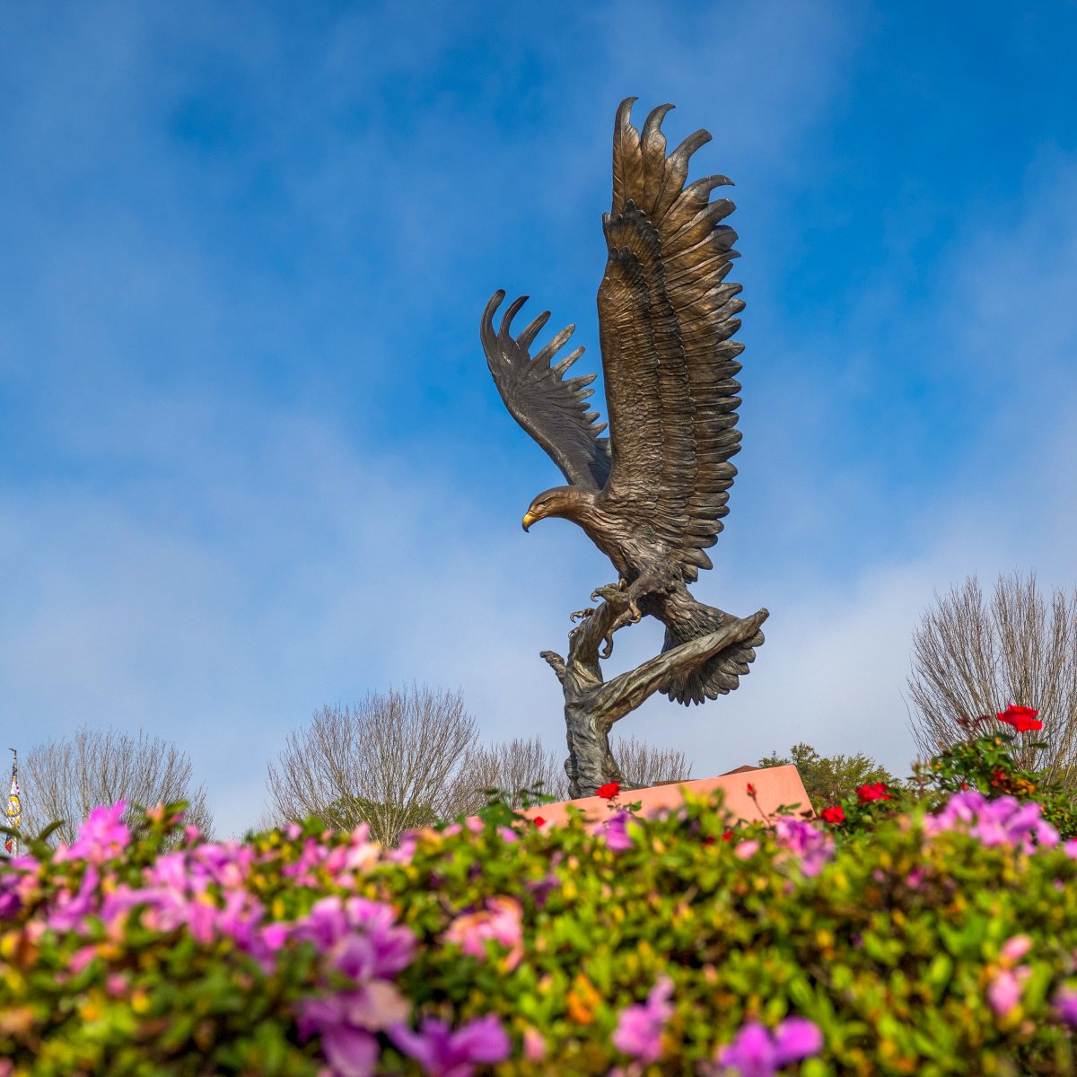 Southern Miss tweet media