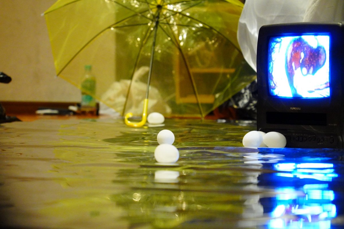 ヒロです。 tweet media