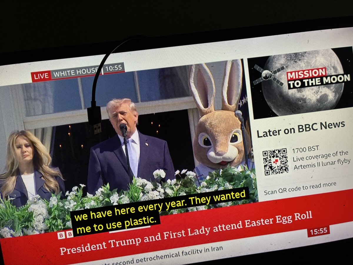 Sometimes tweet media