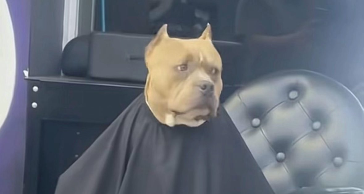 ᴊɪɴᴜ | CW📺: Gintama | CR📖: Monster tweet media