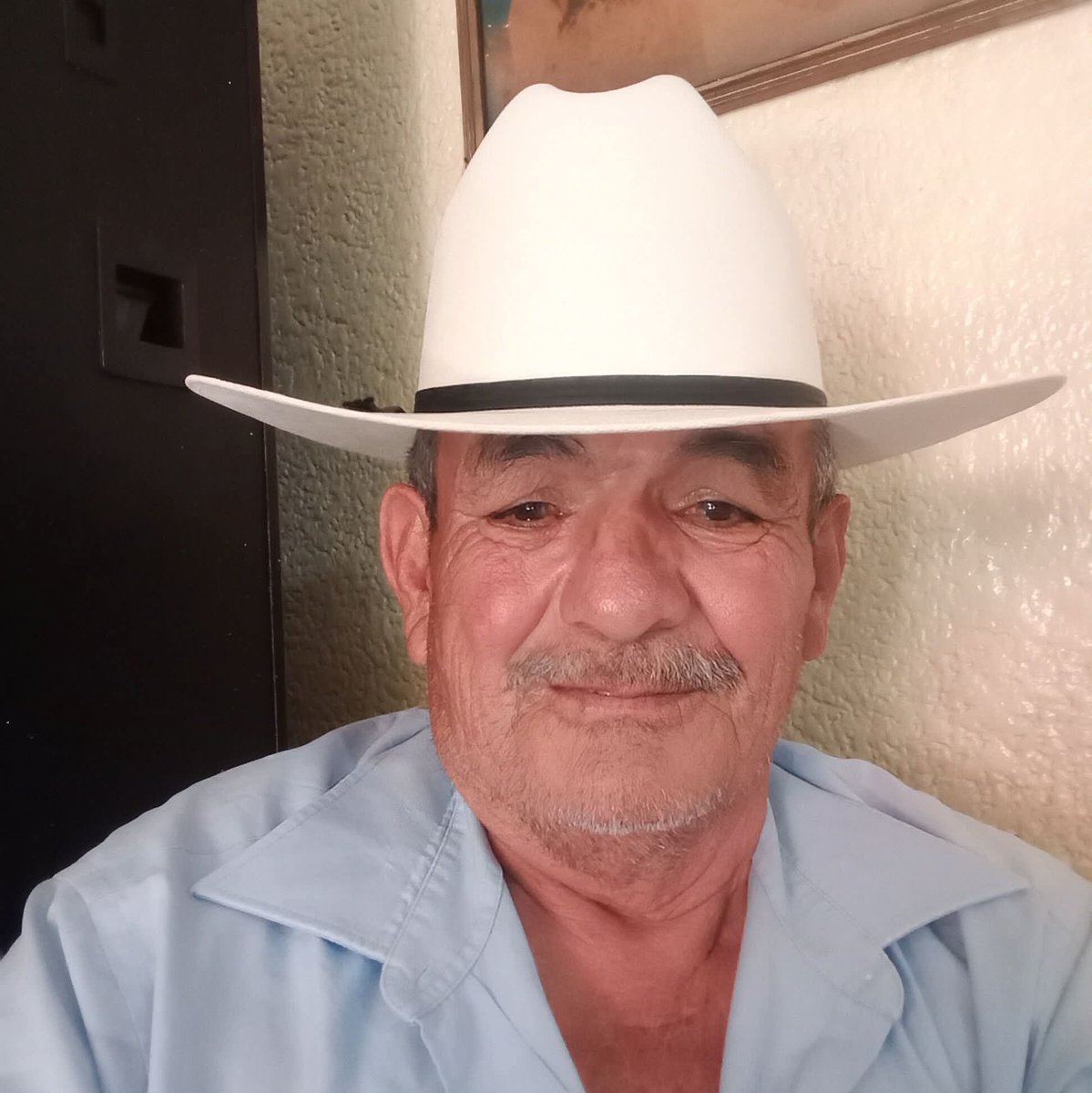 walfredo ortiz tweet media