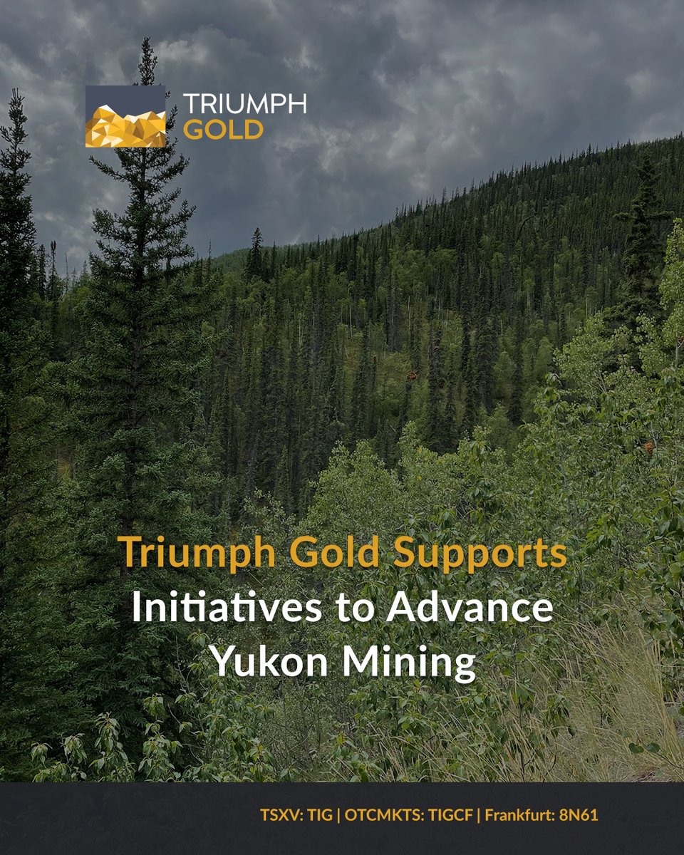 Triumph Gold Corp tweet media