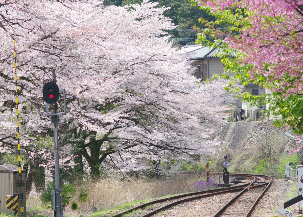 わたらせ渓谷鐵道【公式】 tweet media