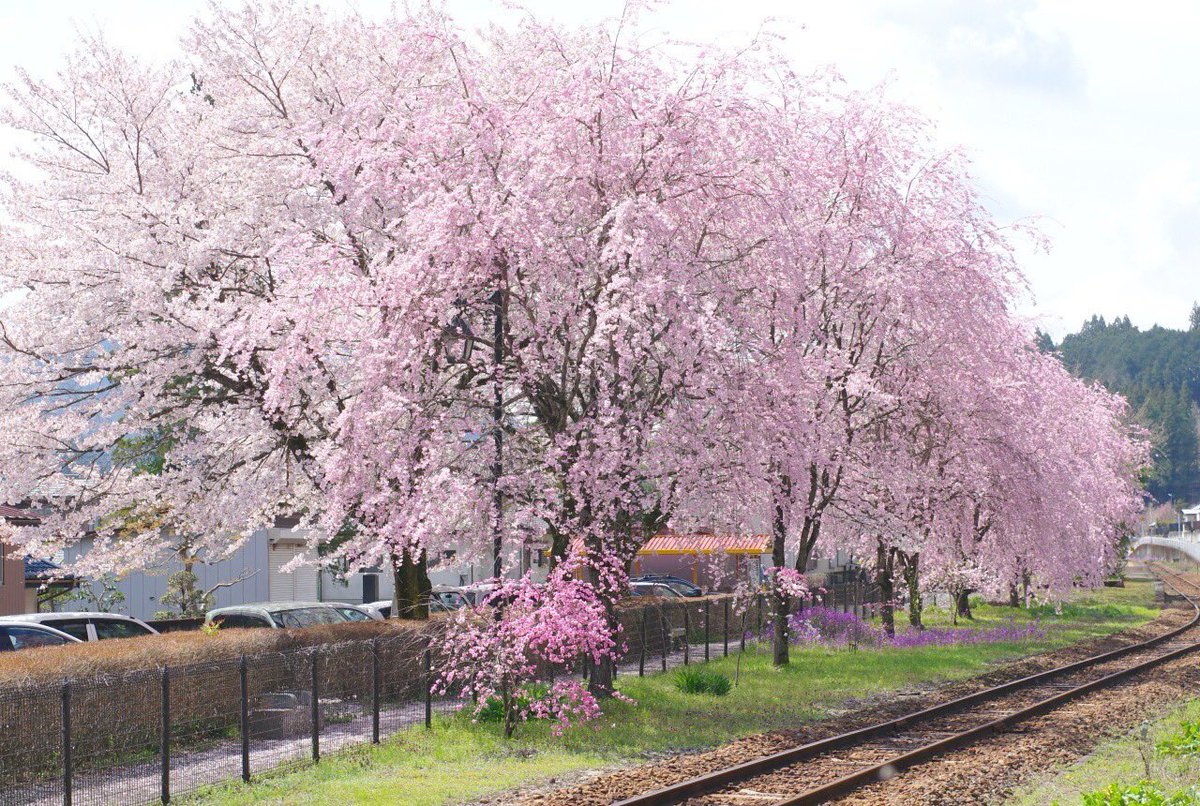 わたらせ渓谷鐵道【公式】 tweet media