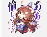 夜壱。 tweet media