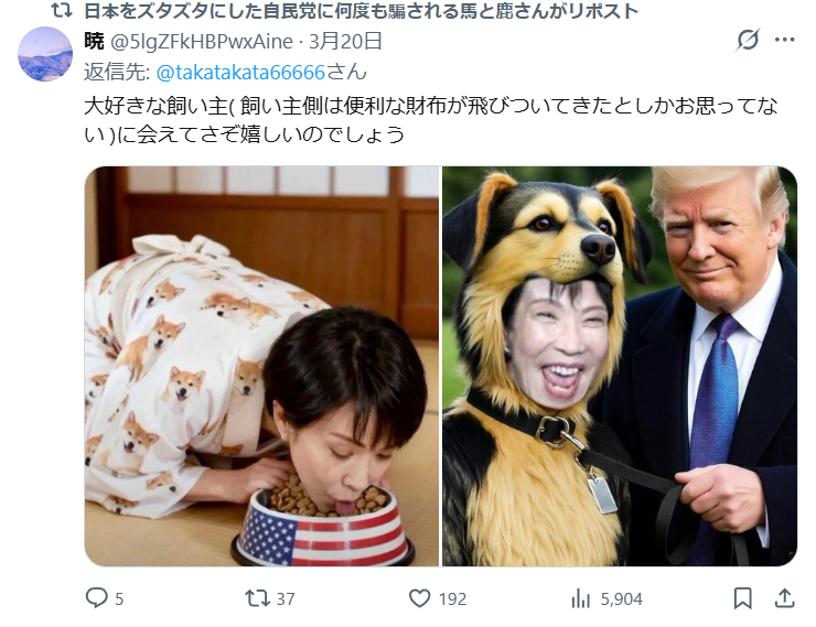 ゆるパンダ tweet media