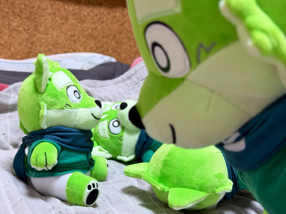 タカシマアキラ🐻 tweet media