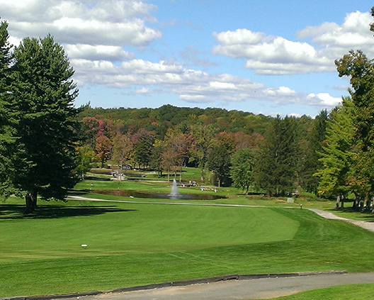 Bobby At The Spa | Horse Racing tweet media