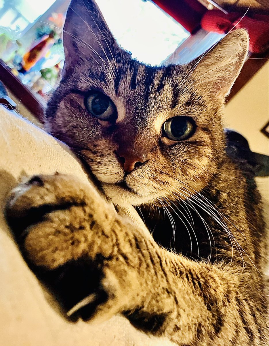 TheDapperistZombieART tweet media