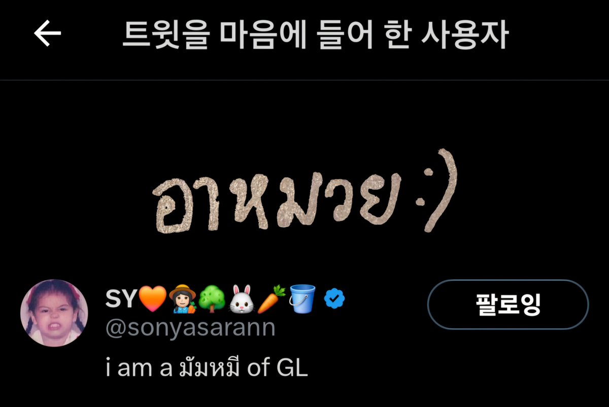 아무어이อาหมวย tweet media