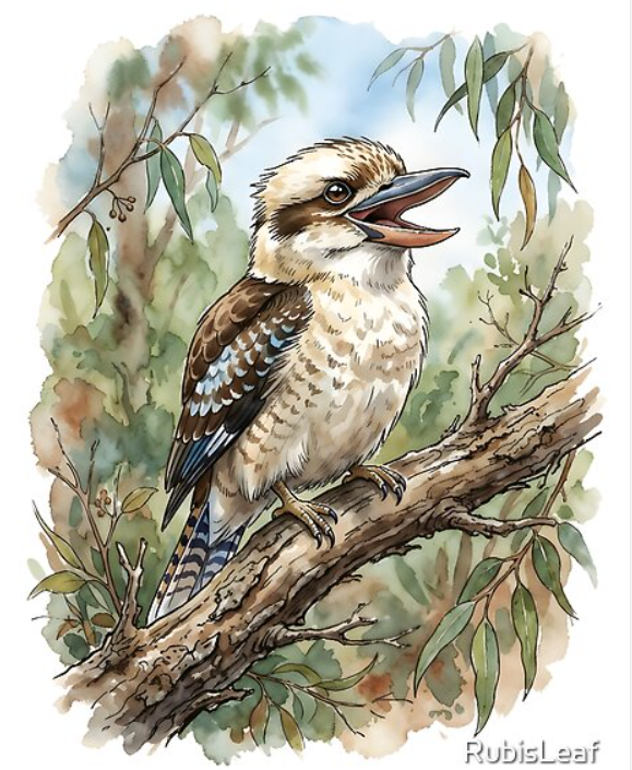 modekai_shop's tweet image. #kookaburrabird #kookaburra #watercolor #australian #wildlife #bird #laughing #nature #eucalyptus #botanical #gumtree #birdwatcher #kingfisher #forest
redbubble.com/i/apron/Laughi…