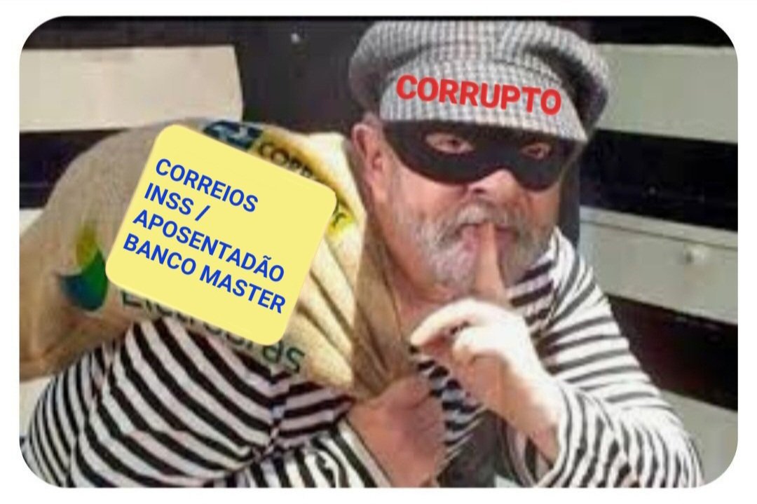 zévoltando tweet media