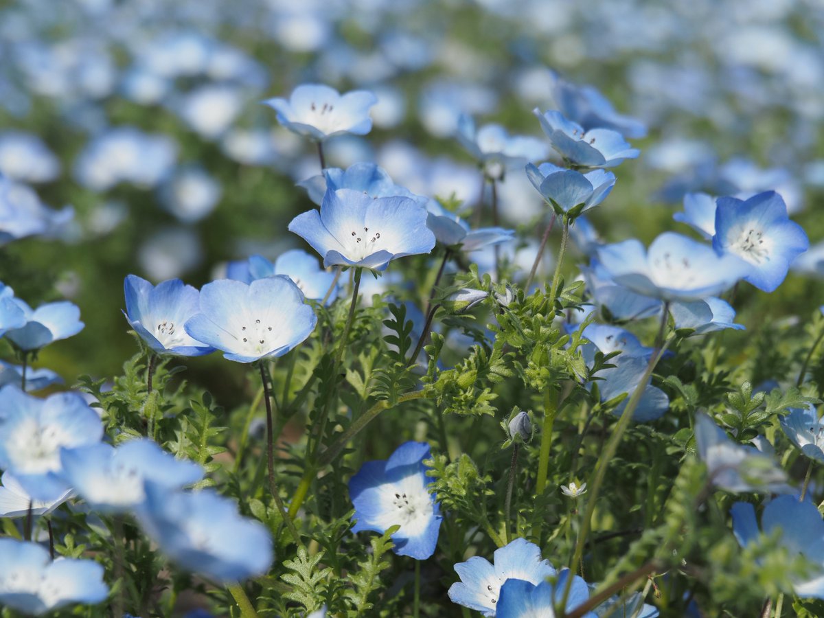 くそがき㌠🤜🏻💥🤛🏻 tweet media