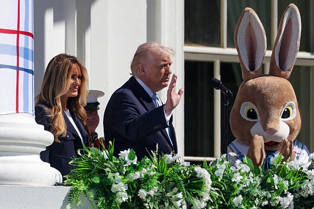 Gina Milan tweet media