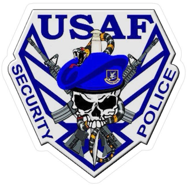 USAF Raven Forces tweet media