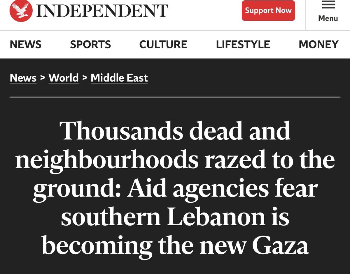 Linda Mamoun tweet media