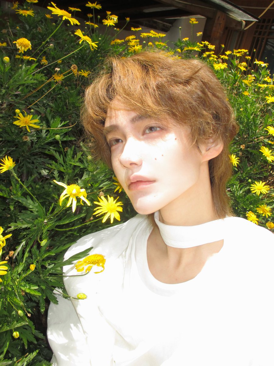 黑鹿其 tweet media