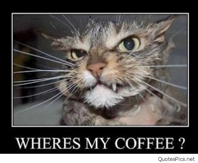cselston's tweet image. #Coffee #MondayMorning #CoffeeTime #MondayMotivations
