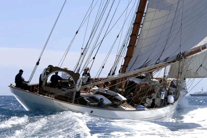 archistar tweet media