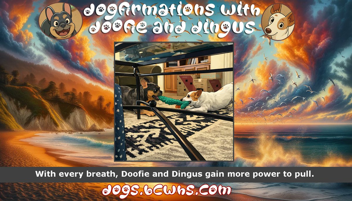 BCWHSecurity's tweet image. Dogfirmations with Doofie and Dingus: Tug of War
 
With every breath, Doofie and Dingus gain more power to pull.
 
View Dogfirmation: dogs.blackcatwhitehatsecurity.com/?dogID=152#tod…
 
#Tug #War #Technology #ArtificialIntelligence #Animals #Photography #Dog #Nature #Pets #Affirmations